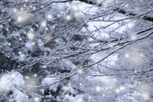 寒い季節こそ体調管理を大切に。整った環境で安心してビジネスを