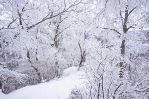 大寒波の今こそ考えたい、全国対応のライブチャットビジネス