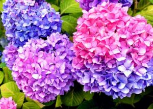 【梅雨前の準備が大切】女性が快適に働ける環境づくりとは？