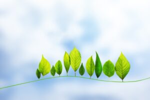 ５月は“変化”を楽しむ季節！気分転換が売上アップにつながる理由🌿